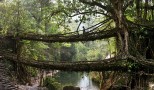 As Pontes Vivas de Meghalaya